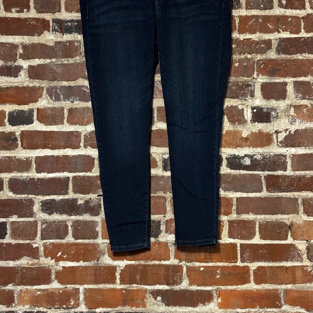 Lane Bryant Dark Indigo Skinny Jeans